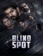 Blind Spot (2025) Kannada Movie