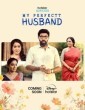 My Perfectt Husband (2024) Telugu Web Series