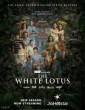 The White Lotus (2025) Season 3 Tamil Web Series