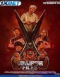 Udaipur Files (2025) Full Movie